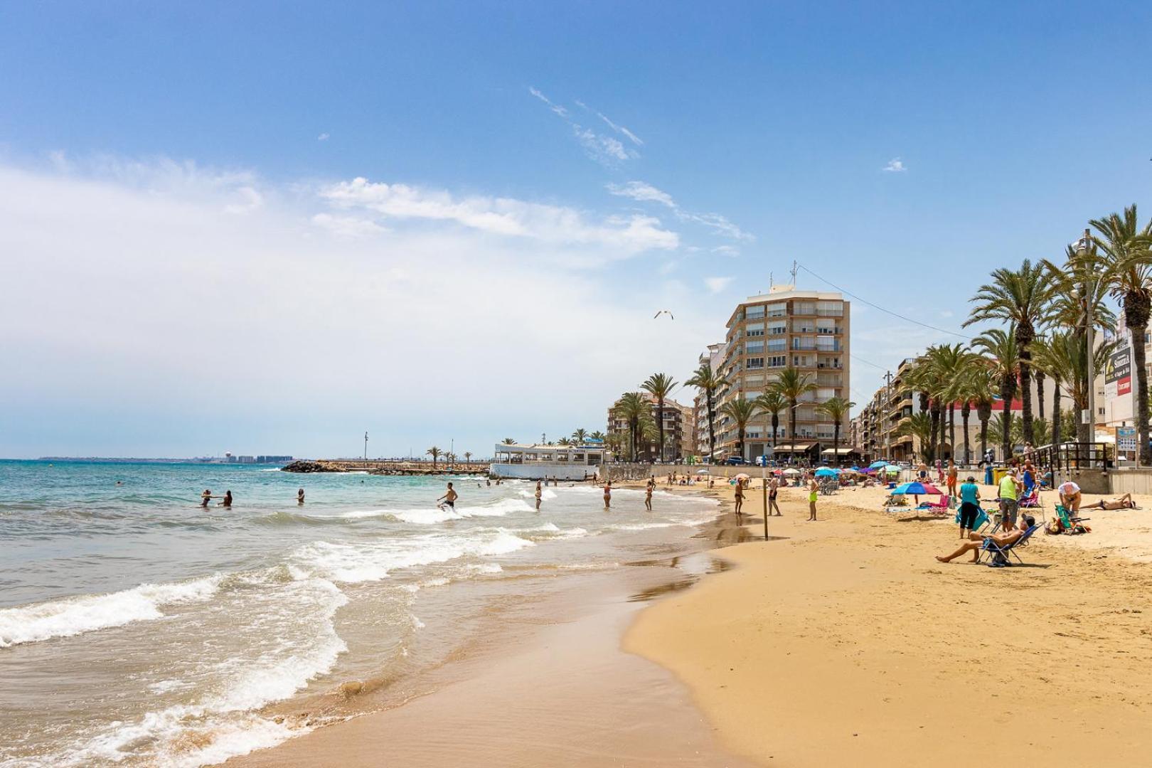 Apartamento Concordia Apartment Torrevieja Exterior photo
