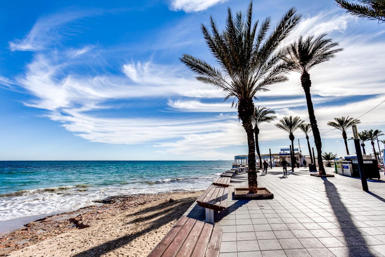 Apartamento Concordia Apartment Torrevieja Exterior photo